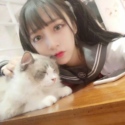 akb48樱桃湾之夏下载官方版
